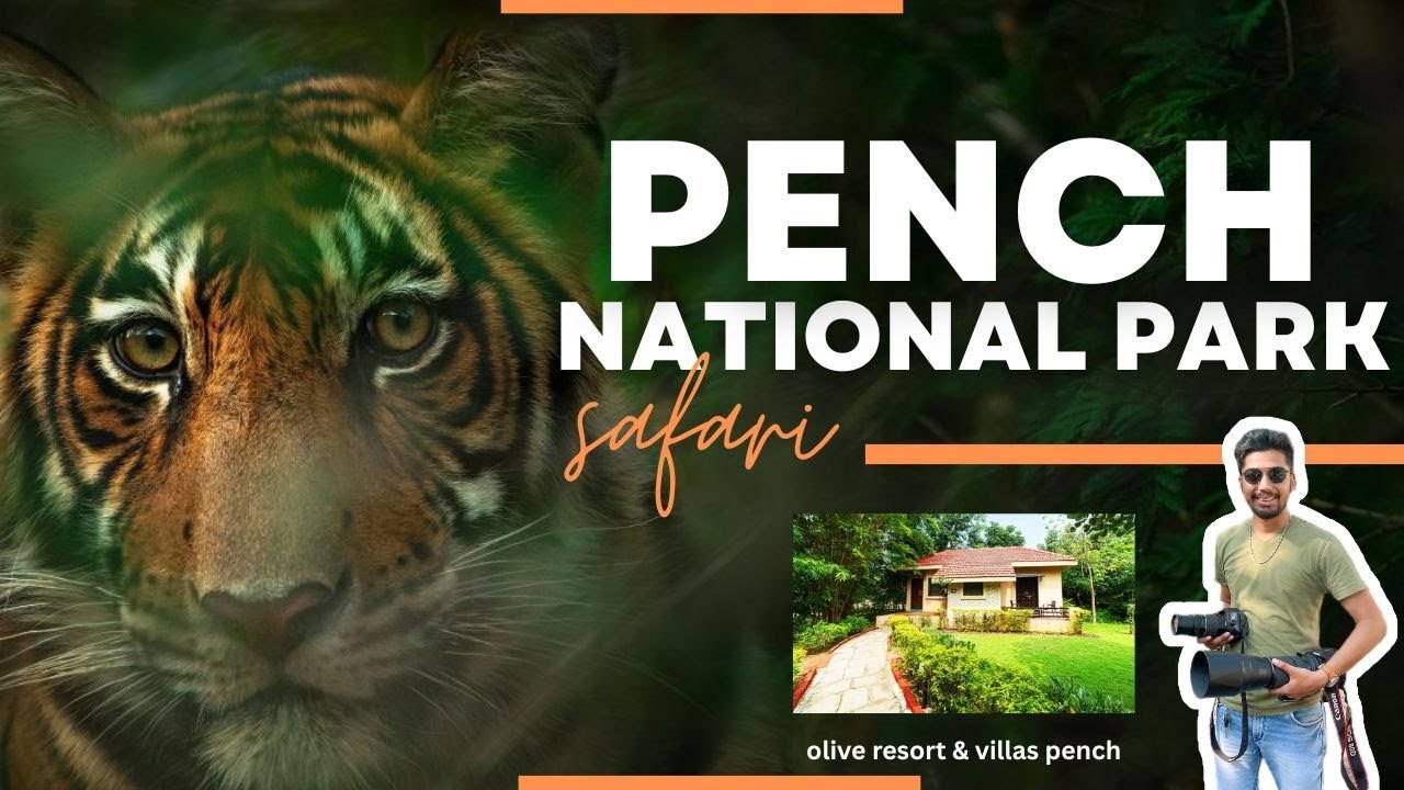 Pench National Park video thumbnail